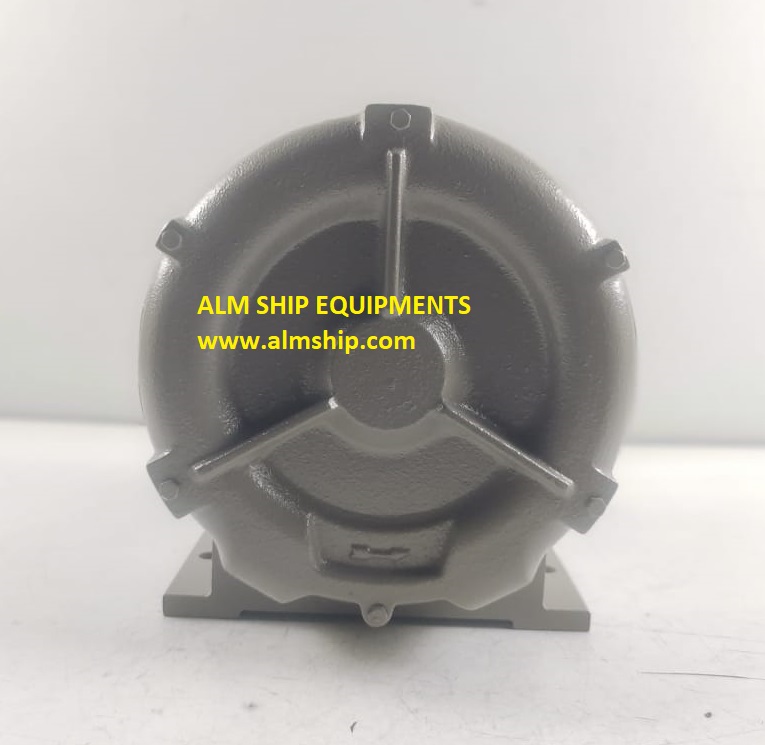 Teral VFZ101PN MCD6062Z 1-Phase a.c. Induction Motor