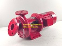 Merser A.25AH MEK Centrifugal Water Pump