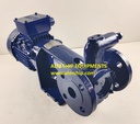 DESMI ROTAN PUMP-GP33EFM/1U2B2 (WITH-MOTOR)