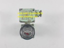 Oval Hydraulic Indicator PI45B10 957.2CC